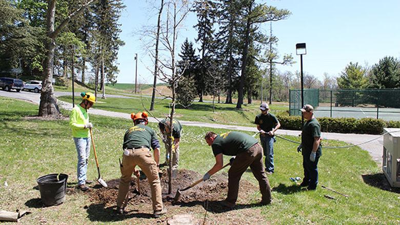 Final touches are added to the planting of the Henry Hartman '59 commemorative tree.
